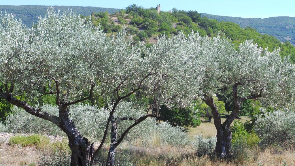 Ongles Le Mas Des Ferrayes المظهر الخارجي الصورة